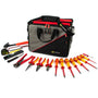 CK T5982 18 Piece Professional Tool Kit